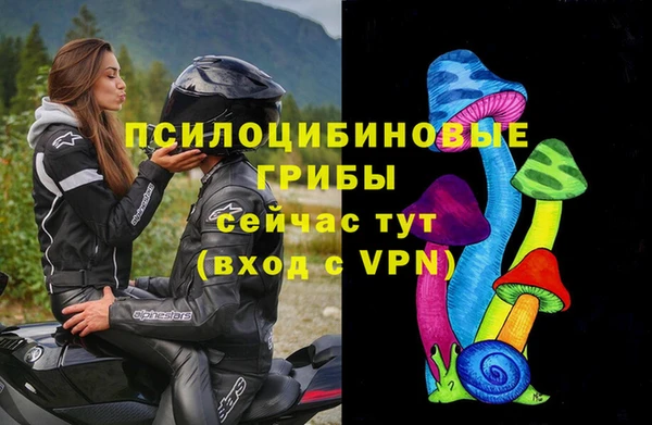jwh Богородск